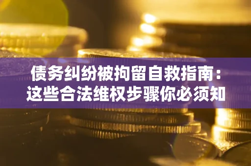武汉债务纠纷被拘留自救指南：这些合法维权步骤你必须知道！
