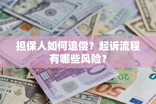 武汉担保人如何追偿？起诉流程有哪些风险？