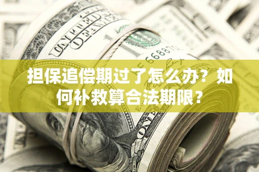 武汉担保追偿期过了怎么办？如何补救算合法期限？