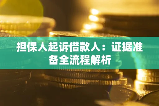 武汉担保人起诉借款人：证据准备全流程解析