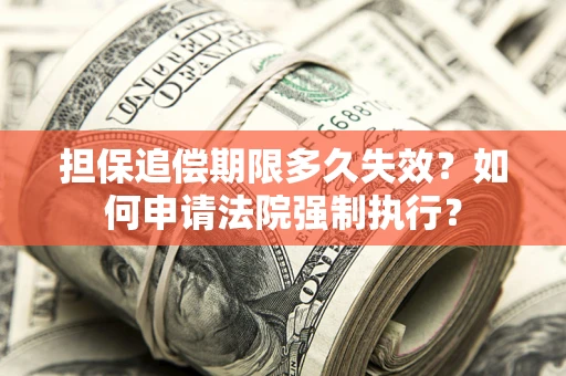 武汉担保追偿期限多久失效？如何申请法院强制执行？