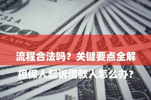 武汉

担保人起诉借款人怎么办？流程合法吗？关键要点全解析