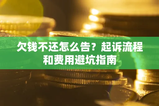 武汉欠钱不还怎么告?起诉流程和费用避坑指南 武汉欠钱不还怎么告?起诉流程和费用避坑指南