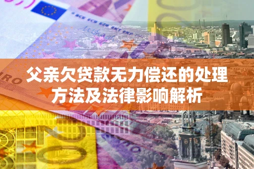 武汉父亲欠贷款无力偿还的处理方法及法律影响解析