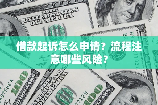 武汉借款起诉怎么申请？流程注意哪些风险？