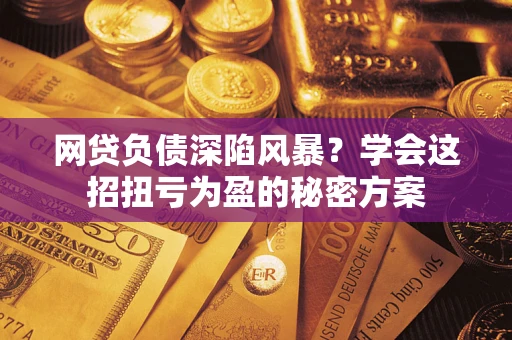 武汉网贷负债深陷风暴？学会这招扭亏为盈的秘密方案